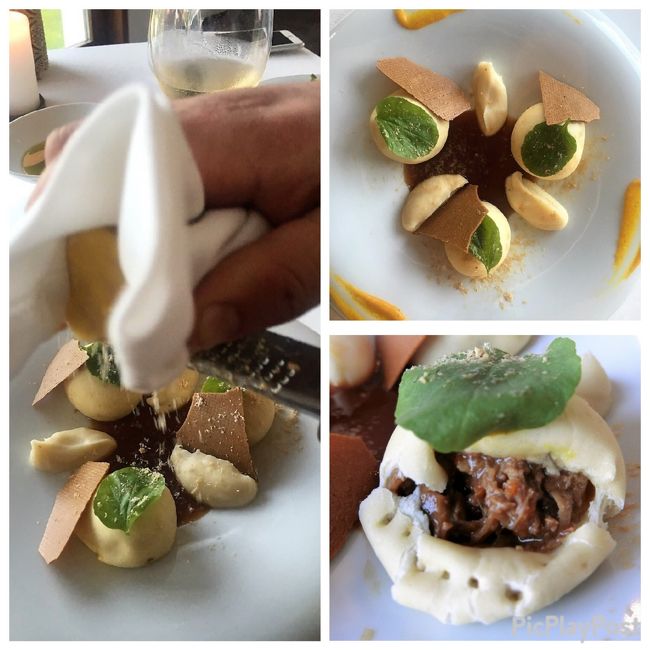 結構ボリュームのあるディッシュが運ばれてきました。<br />トリフを擦ってます。<br />これはダンプリング、要は餃子です。<br />柔らかい皮に少し甘い目のお肉が入ってます。<br />正直私は1個でいい感じ。<br />夫も娘も少々持て余し気味