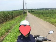 野生の感（？）的中！
シュガーロードにたどり着きました。

ドラマを見ていないから良くわからん。
確かにおばぁが言っていた通り、どこもサトウキビ畑だから、どこも似たような風景で、、、