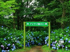 9：30　舞鶴自然文化園

100種10万本の紫陽花が見頃。


入園料　300円
駐車場　無料