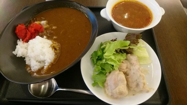 カレーとチキンのソテー、ミネストローネ。<br /><br />カレーは羽田のJALカレーとはまた味が違いました。<br />これはこれで美味しかったですが、<br />羽田のJALカレーが恋しくなりました・・・<br /><br />お皿は羽田と同じタイプですけどね