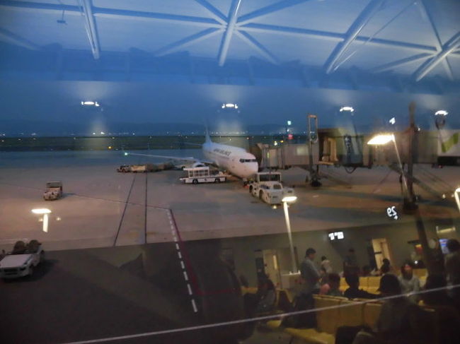 JL815<br />KIX-TPE<br />B738<br /><br />食べ過ぎてお腹が少し痛い中搭乗です(笑)