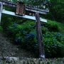 滋賀・石川　紫陽花めぐり～神前神社、全長寺、本興寺、卯辰山公園、大乗寺丘陵公園