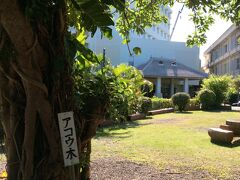 ホテルそばの美崎公園も散策しました。
奥に見えるのがホテルミヤヒラです。