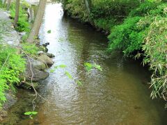 裏手の小川にカッパがいるらしいけど…？