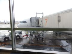 いつも空の出発地は鹿児島空港ですが、今回は福岡空港です。
鹿児島空港は近くて便利なんですが、空港へ向かう道路が凍結のリスクが高いので、前日の夜に地元の最寄りの駅から新幹線で博多駅へ移動。


博多駅前のビジネスホテルに一泊して朝から地下鉄で福岡空港へ来ました。

本当は、当日移動でも間に合うのですが、起床時間なんかを考えたら…

イヤーーーー！！！


５０００円のホテル代払って前泊決定です。


空港職員さんも慣れているようで、ポルトまでのチケットを出してもらい、スーツケースもポルトまで預けてもらったので、一気に身軽です☆
そのときに、羽田→フランクフルは通路側の座席に、
フランクフルト→ポルトは窓側の座席にしてもらいました。