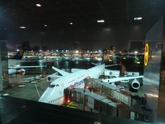 走りはしなかったけれど、皆で早歩きで手荷物検査と入国審査。
日本をはじめ他国ではパスするのに、ドイツでは必ず手荷物検査にひっかかる私は今回も引っかかりました。

その後は問題？の入国審査。
今回はドイツの入国審査では初めてであろう、笑顔がめっちゃ爽やか＆イケメン職員さん(>∀<)
こんな時でもテンション上がります。
早速パスポートを職員さんに渡して、彼がパスポートをスキャンした途端、目を丸くし、いきなり私のパスポートを全ページチェックし始めます。
他の方達はサクサク入国審査が終わっているのに～～～(><)


そして苦笑いしながら私の持っている搭乗チケットを見ながら一言。
「本当は質問したいことがたくさんあるけれど…もう時間がないよね？」

そう、搭乗開始時刻はとっくに過ぎています。

「グループで来たんだよね？ちゃんと帰国するよね？」
と念を押すように聞かれたので
「１週間後、日本に戻ります」
と返事して(←当然、本当のこと)印鑑を貰って入国審査は終了。