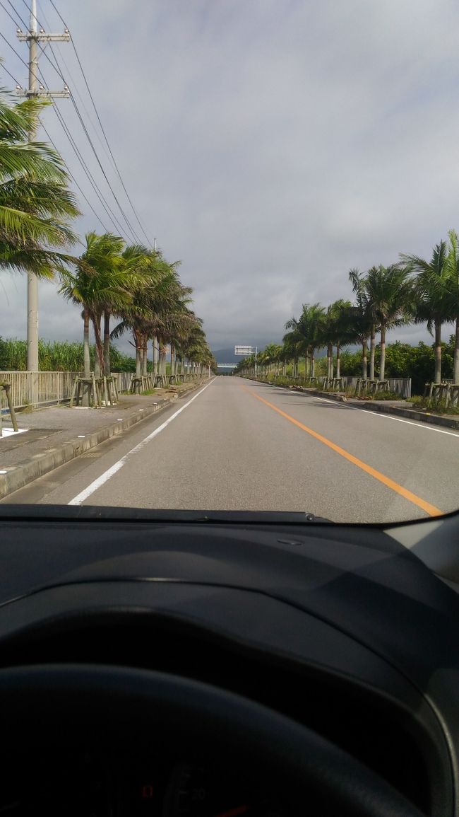 ２日目！<br />旅の間レンタカー借りました。<br />今回の旅、何気ないドライブが一番楽しかった♪