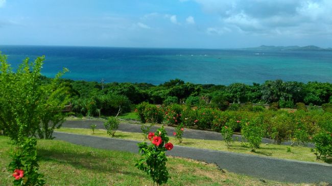 綺麗な緑と青！<br />東京はどよ～んとした曇り空だったので最高に気持ちよかったです。<br />直前まで大雨で大変なことになっていた沖縄。<br />無事梅雨が明けてくれてよかった～<br />石垣島は本島よりずっと南なので大丈夫だとは思ってたけど。