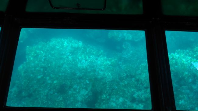 無料クーポン持っていたので、川平湾でグラスボート<br />あまりの暑さと横揺れでちょっと酔った。笑<br /><br />他にもお一人様いらっしゃいました