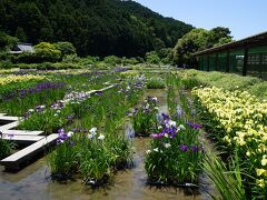 加茂荘花鳥園は、桃山時代から続く庄屋であった加茂家の屋敷と、その広大な庭園を利用して作られた植物園です。