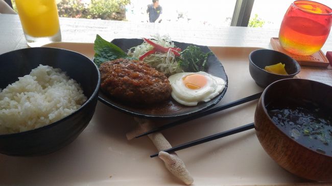 石垣牛のハンバーグとマンゴージュース<br /><br />自転車で走りまくったのでマンゴージュースに助けられた感じです！<br />この左奥の葉っぱ。<br />食べれるのか食べれないのか？<br />味見させる人間がいないのは一人旅であるデメリット（食べれました）