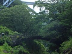 これが、高千穂峡の遊歩道でも人気の撮影ポイントとなっている「高千穂三橋」。

一番手前が昭和時代の石の「神橋」、二番目が昭和時代の「高千穂大橋」（鋼橋）、そして平成時代の「神都高千穂大橋」（コンクリート橋）と三代の橋が架かっています。
一つの峡谷の一か所に三本ものアーチ橋を見ることができるのは全国でもここだけだと言われているそうです。
