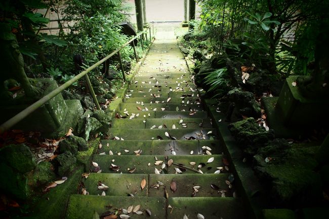 本殿前から下を見てみると、<br />森の雰囲気がありました。