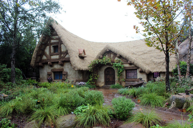 Seven Dwarfs Mine Trainです。<br />日本名は七人のこびとのマイントレインです。