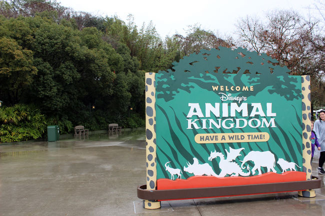 アニマルキングダムにきました。