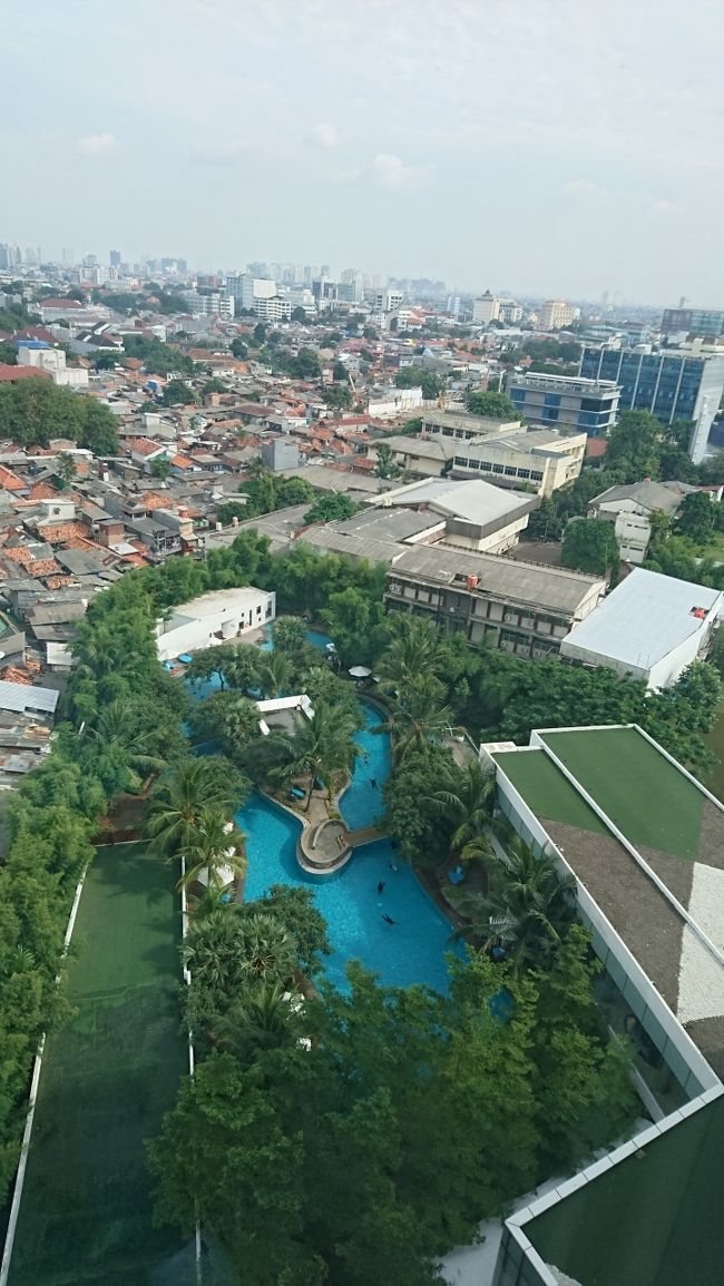 08:30 起床しました。<br />身支度を整え、朝食会場へ向かいます。<br />既にプールで泳いでいる人が見えました。