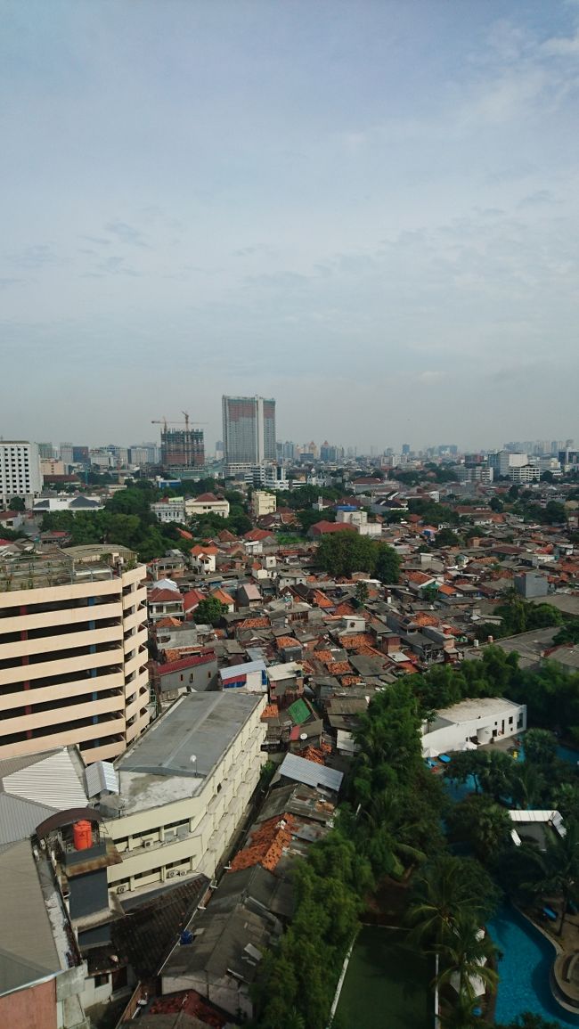 緑で隔絶されている内側がホテル敷地内です。