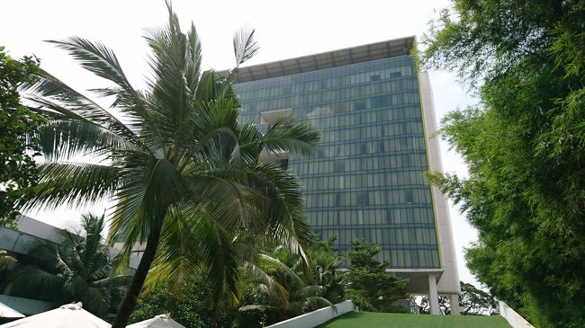 プールサイドからホテルを見上げてみました。