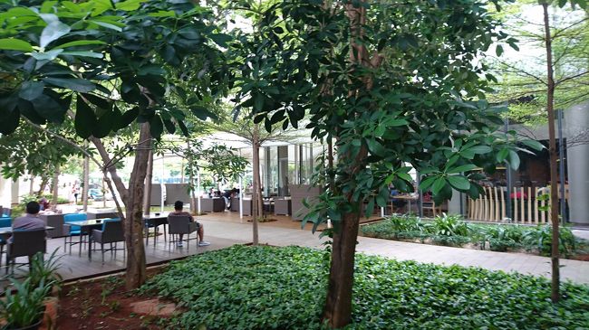 気温の上がる前の早い時間か、<br />夕方以降の利用がお勧めだと思います。