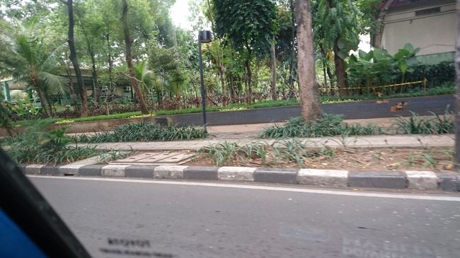 ジャカルタのタクシーではヒルトンとは言わず、<br />「ダブルツリー」と言わなければわかってもらえない<br />と聞いていたのですが、何とか無事に到着出来ました。