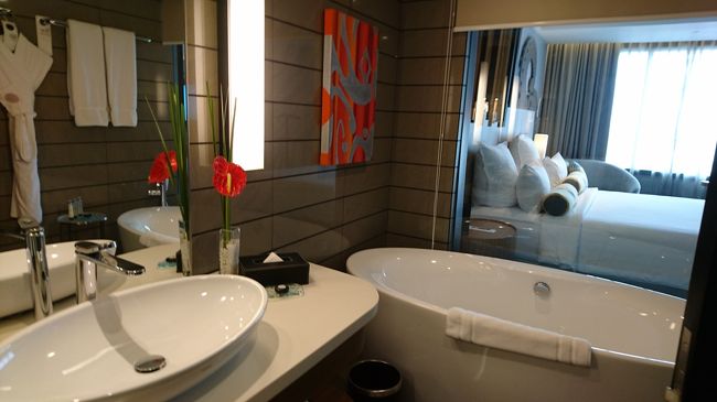 20世紀末から始まったバスルーム透け透け。