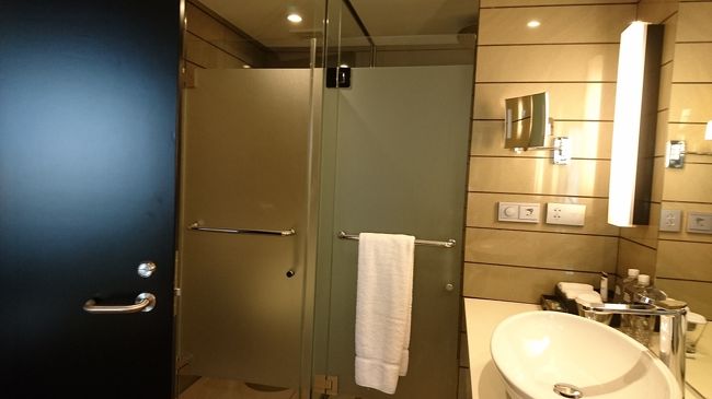 シャワーとトイレはガラス戸付き。