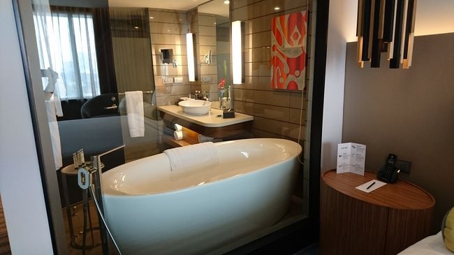 しかし、この完全透け透けはやり過ぎなのでは？