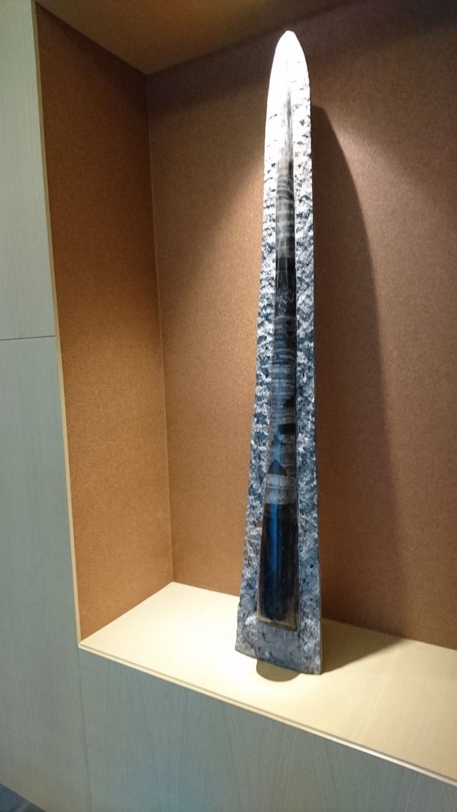 ここにも化石のディスプレイ。