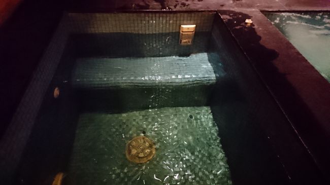 サウナ必須の水風呂。