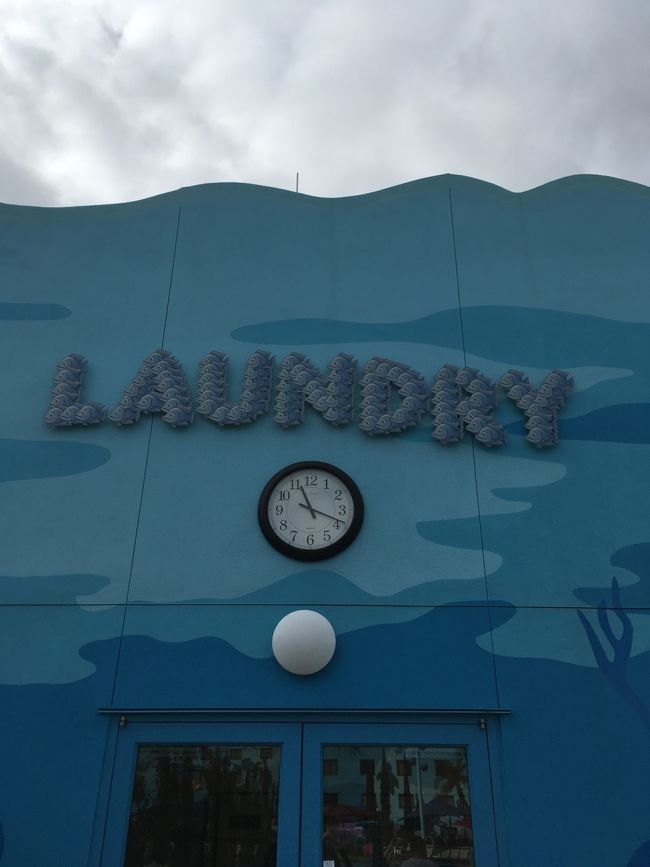 その間にそろそろまた洗濯しないと～笑