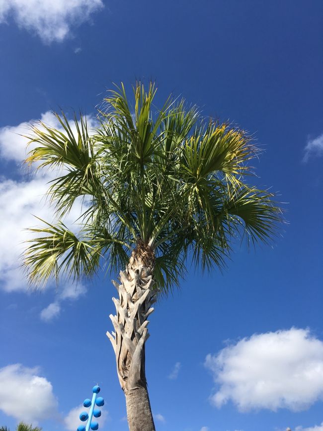 今日は一日のんびり休養日♪
