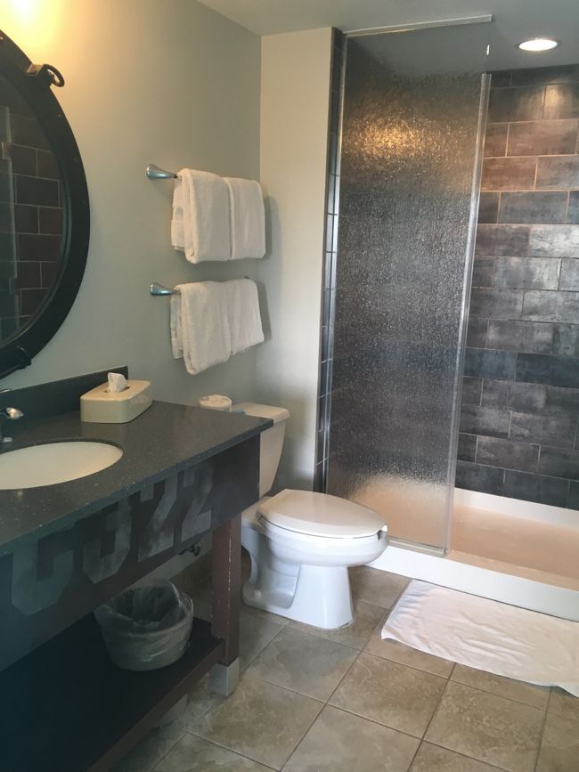 こちらがマスターベッドルームのシャワールーム。