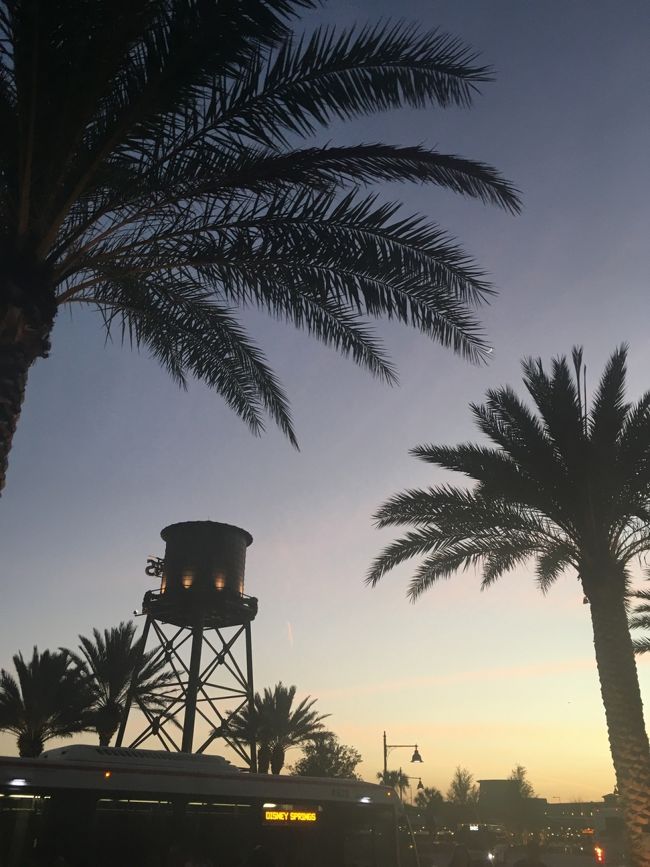 この時間帯の空が一番好き～♪