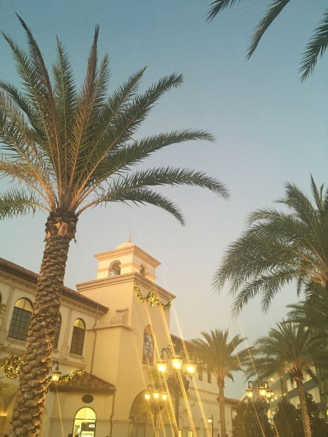 今日はのんびりディズニースプリングスでShopping♪