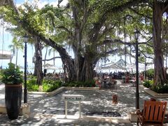 ハワイ・ワイキキ『モアナ サーフライダー ウェスティン リゾート＆スパ』の写真。

【ザ・ビーチ・バー】側にあるロッキングチェアが復活。

よかったよかった。でも空いていない・・・。