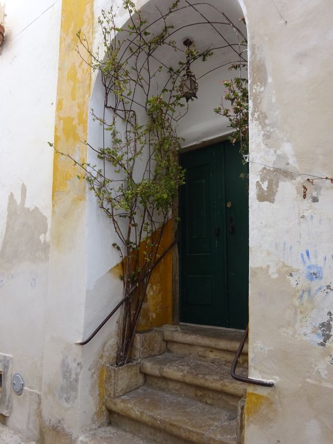 バラかしら？<br />素敵だけどなぁ（〓＾ー＾〓）<br /><br />下通る時、アブラムシが落ちてこないか、不安（〓´ω｀〓）