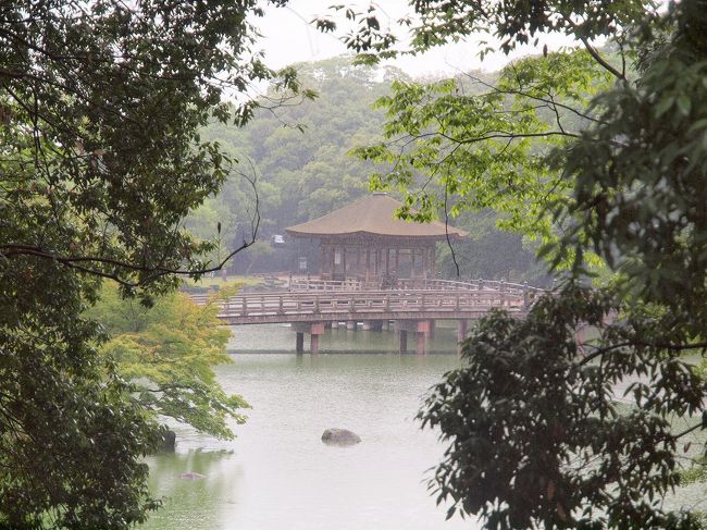 この日は朝からすごい雨でした<br /><br />こんな雨の中歩くのもなぁ～と言っていたのですが少し落ち着いてきたようです<br /><br />久しぶりの奈良を歩きましょう