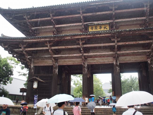 まずは東大時へ<br /><br />南大門を通ります<br /><br />雨でもたくさんの観光客<br /><br />平日なので外国人が多かったです