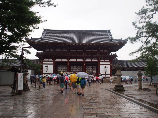 大人　５００円