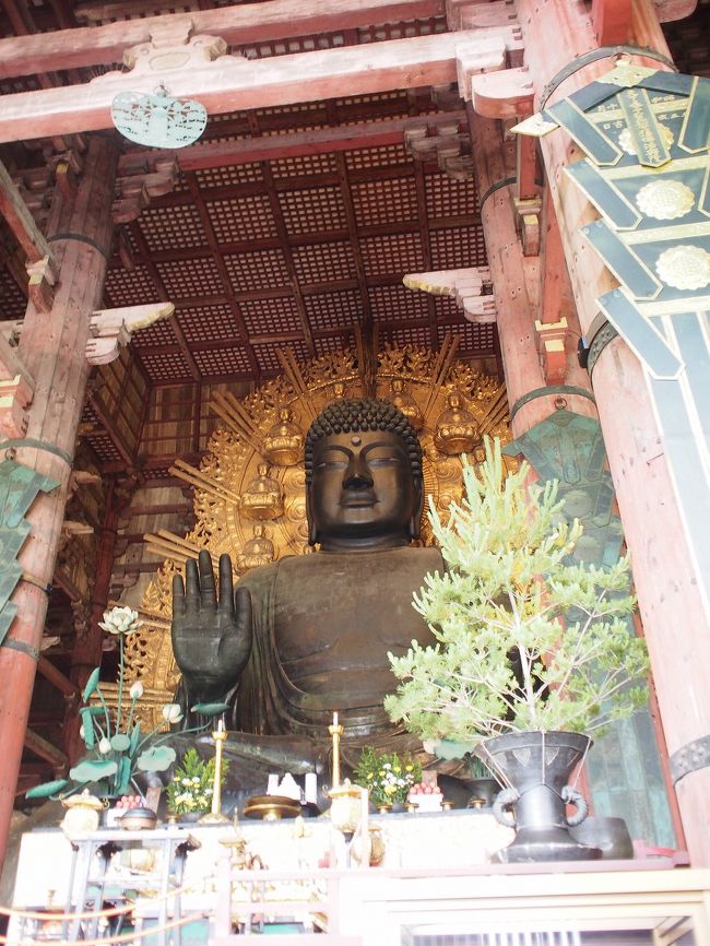 久しぶりの大仏さん