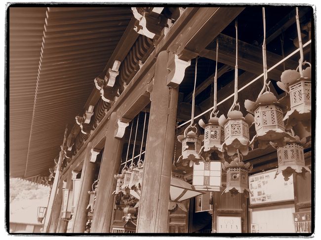 セピアで撮ってみました