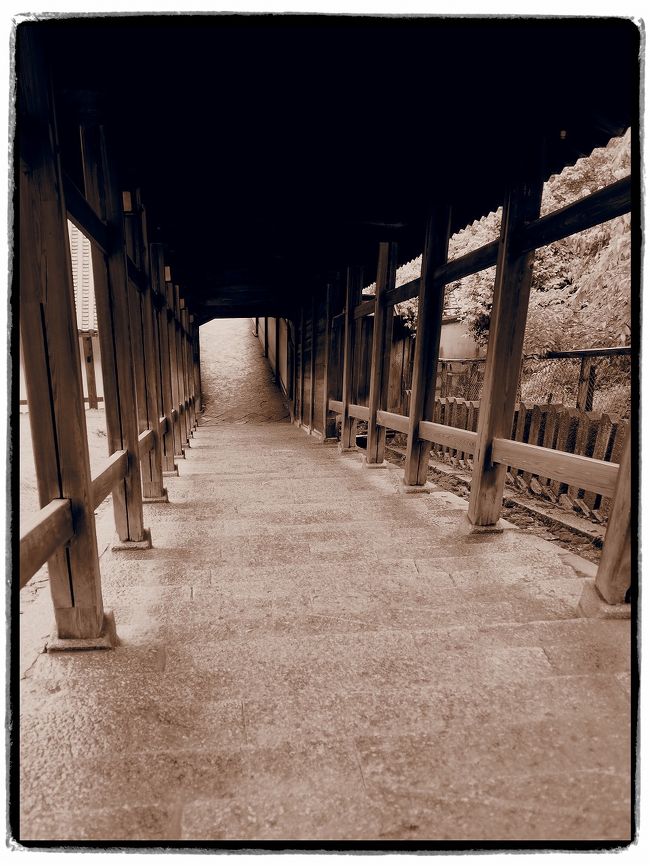 誰もいない階段をおります