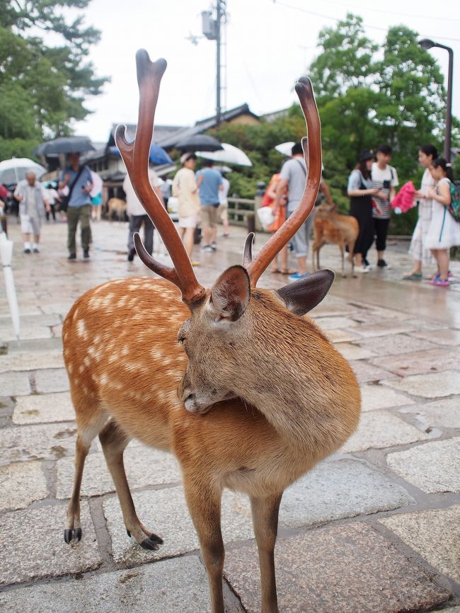 そろそろランチを食べに行きましょうか