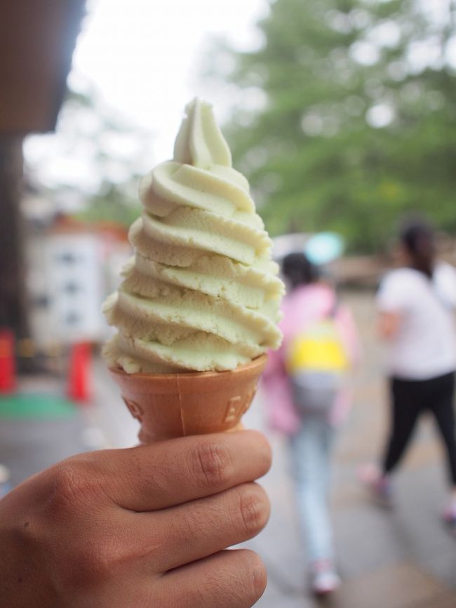 途中で気になったメロンソフト<br /><br />冷たくておいしい！