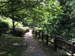 20分ほど歩いて石見銀山公園から続く遊歩道に合流。では、石見銀山のメーンともいえる龍源寺間歩を目指しましょう