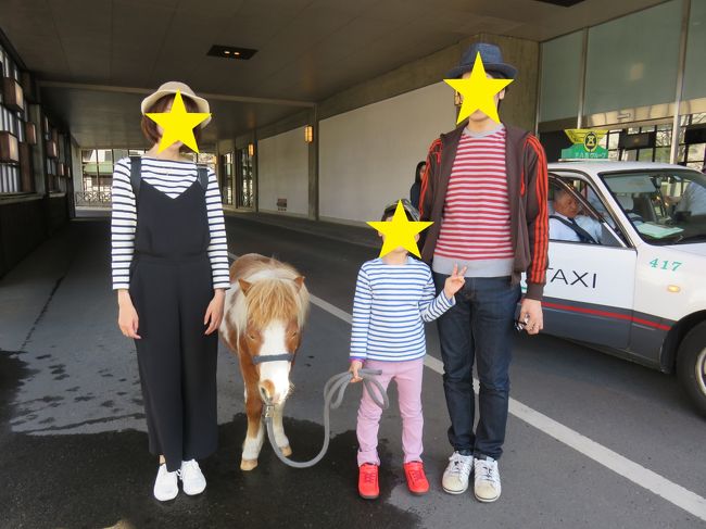 大人しく可愛いポニーでした。<br /><br />合わせた訳ではありませんが、<br />気が付けば全員ボーダー。。。