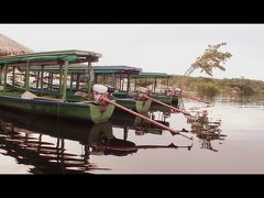 【アマゾン河をいく】

....ここ....ピラニア、いるんかなぁぁ......？


....つづく.....