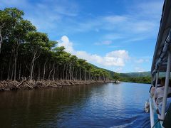 仲間川は全長約17.5km

マングローブ林の広さは約158ヘクタール