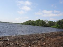 今日も早くに活動開始したので、ウトナイ湖に着いたときも朝です。
淡水湖の水鳥など自然保護を目的としたラムサール国際条約登録の湿地になっているそうです。
水辺にはハクチョウが寝ていました。

広い湖を渡ってくる風が吹きつけます。