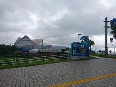 その後ドルフィンポートを後にし、徒歩でいおワールドかごしま水族館へ。